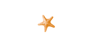 SEA LIFE Aquarium