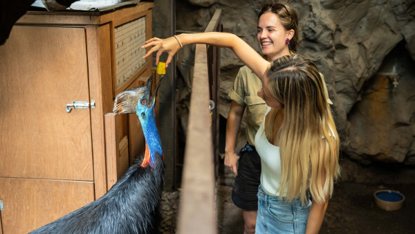 WILD LIFE Sydney Zoo - Australian Wildlife Tour Returns