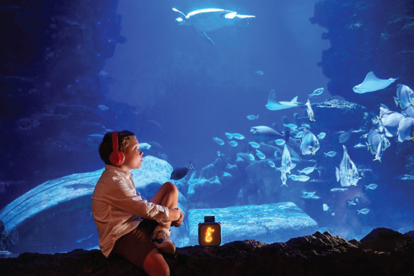 SEA LIFE - NEW Yoto Audio Experience